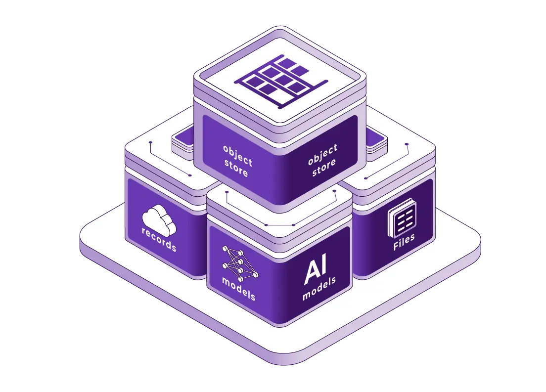 Store Records and AI Models